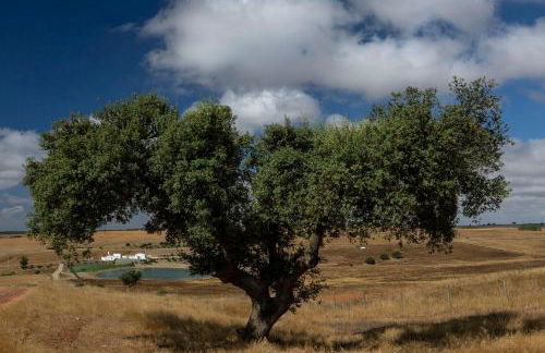 Monte Vale - Nature Resort - Foto 64