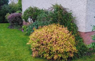 Isla Cottage - Foto 30