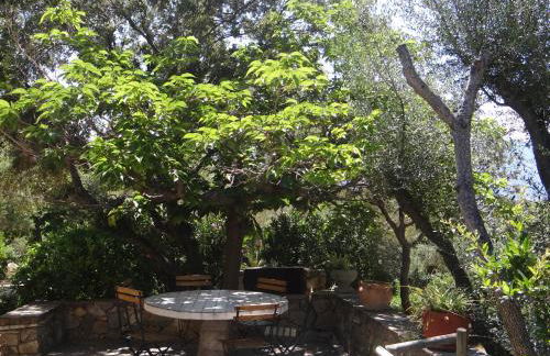 2BA Domaine Malacucina Lumio - Foto 30