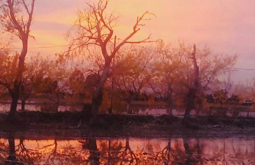 Casa Arturet - Photo 20