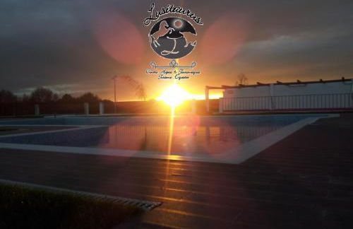 Lusitaurus - Foto 54