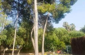 Charming Villa in El Vendrell + Pool - Foto 11