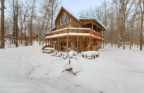 5 Little Acorns - Foto 30