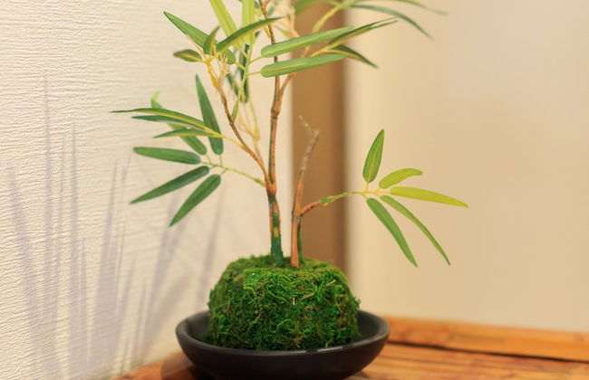 Kanazawa no yado Ikedaya - Foto 34