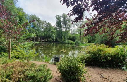 Caldas da Rainha's Green & White - Foto 33