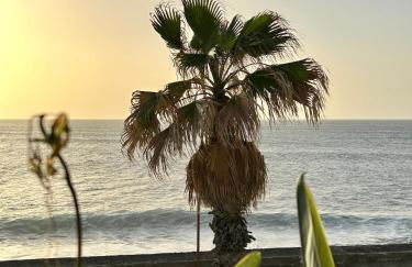 Casa Carneirinho by Olá Madeira - Foto 68