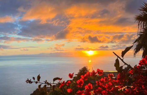 Villa Acacia - Foto 46