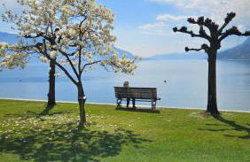 Casa Mauro II - Foto 16