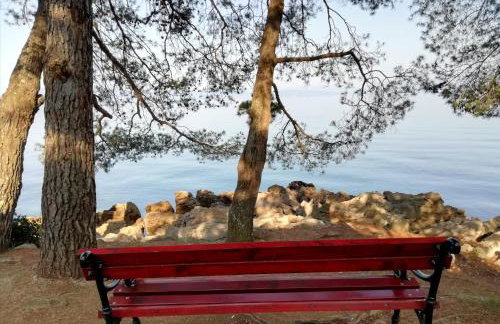 Apartment Fancy - Foto 55