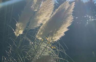 Totally Private, idyllic House with hot tub in an acre of private gardens - Foto 13