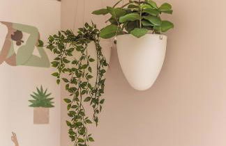 Flint House - Bracklesham Bay - Foto 32