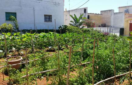 Oltremare - Photo 59