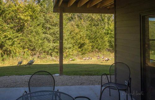 Hot Tub & Fire Pit - Galena Spring Escape - Foto 58