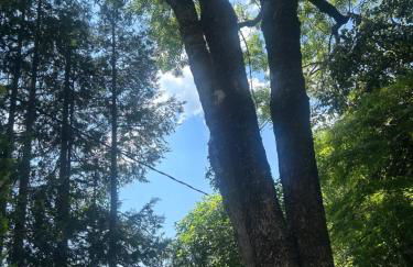 Casa Rural Pirineu Nevà - Foto 71