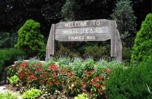 Charming Victorian Home in the Heart of White Plains - Foto 15