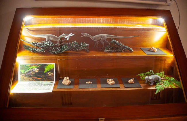 Quarta Colônia Dinosaur Route - Foto 6