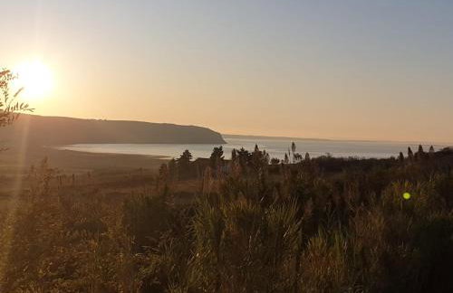 Apartmani Ivan - Photo 31