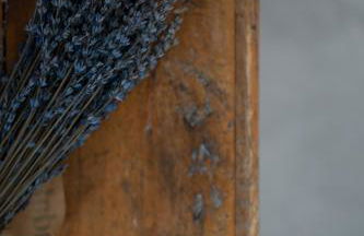 Kastro Mansion - Foto 124