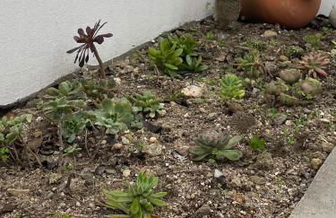 d Albuquerque - AL - Foto 19