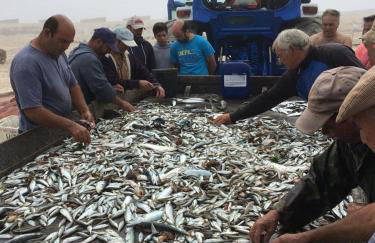 Moradia próxima da praia do Areinho, na Ria, e praia dos Marretas - Foto 40