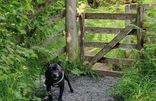 Self-catering Lighthouse Keeper's Cottage on the NC500 - Photo 62