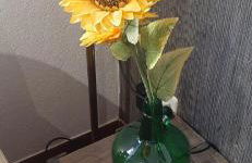 Quinta Inge - Foto 28