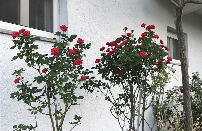 Namhae German Village Frankfurt Story - Foto 50