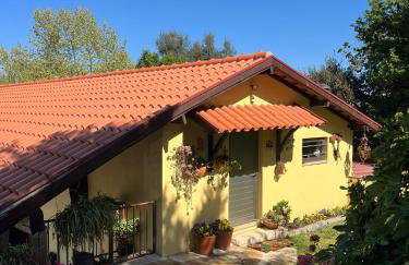 Quinta de Carcavelos Agroturismo e Enoturismo - Foto 1