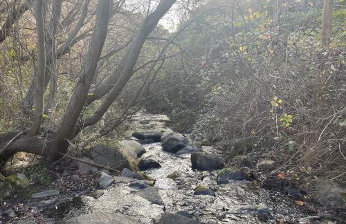 Apartamentos El Cabo - Photo 18