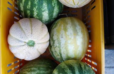 Agriturismo Ponterosa - Foto 78