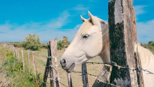 "Yunahouse" Vue sur les Salins Roses - Foto 3