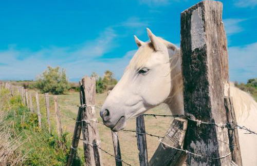 "Yunahouse" Vue sur les Salins Roses - Foto 3