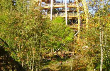 Ferienwohnung Fernblick - Foto 20