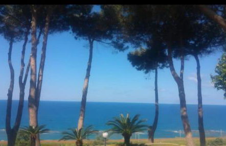 Naturoasi Resort - Photo 34