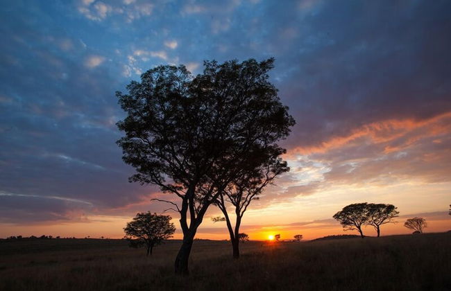 Ezemvelo Nature Reserve - Foto 1