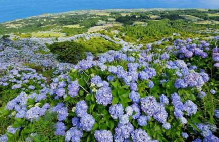 CASITA DA DOCTORA - Foto 69