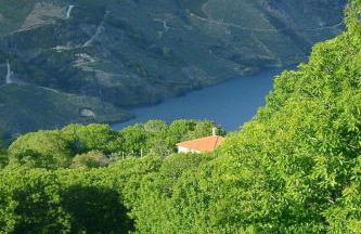 Holiday Home mit Privatpool by Interhome - Photo 36