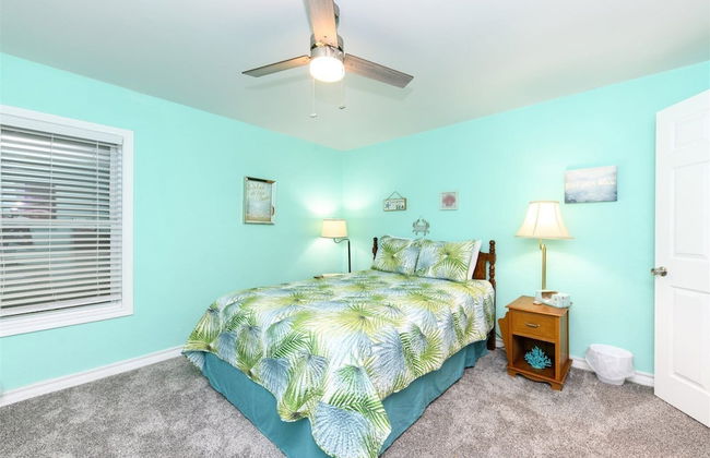 Dolphin Paradise - Photo 3