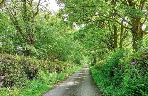 Brynog Mansion Apartment - Foto 31