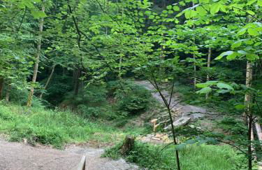 Apartment Wanderglück am Gehrenberg - Foto 14