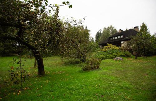 Zbójnicka Chata - Foto 49