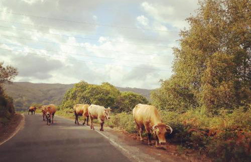 Apartamentos El Valle - Foto 21