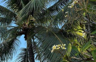 Casa aconchegante para sua família na beira mar - Foto 66