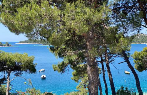 Apartments Atila - Foto 51