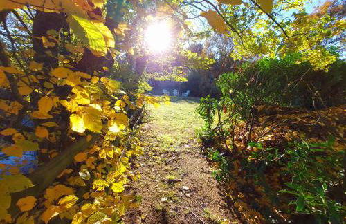 Le Logis de Maisonneuve - Foto 44