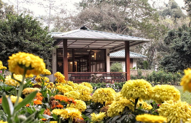 Wild Mahseer - Foto 40