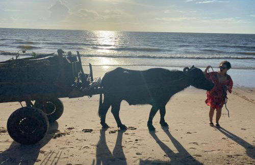 Casa de Praia em Joanes - Salvaterra - Foto 26