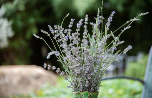 Gîte L'Olivier - La Roseraie du Val'Ensoleillé - Photo 36