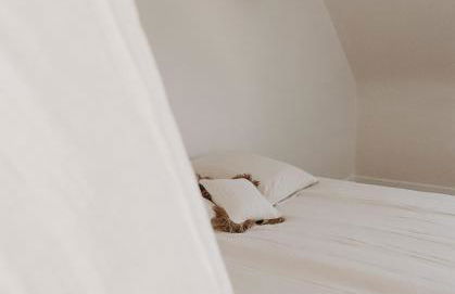 Le Ricanto - Maison de vacances dans un gîte proche de l'océan - Foto 11