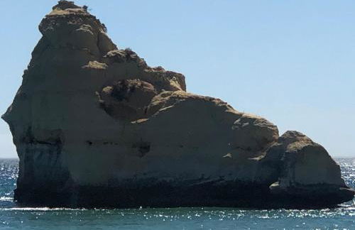 T1 Praia da Rocha - Foto 19